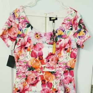 Alexia Admor floral blooms dress size 14